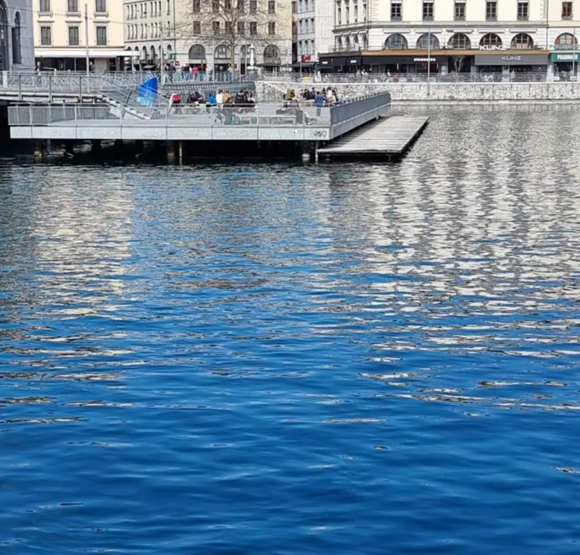 Blue-Lake View Geneva Apartment