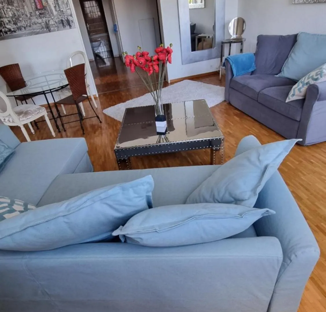 Blue-Lake View Geneva Apartment